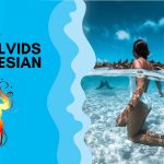 All You Need To Know About “Travelvids Indonesian”